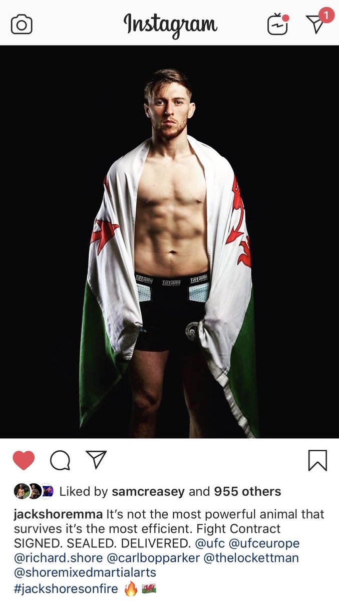 fabiangib's tweet photo. @jackshoremma Please tell us it’s #UFCLondon. Would love to see you fight live! 🙏🏻 #FutureGreat https://t.co/bQDvtrdmBz