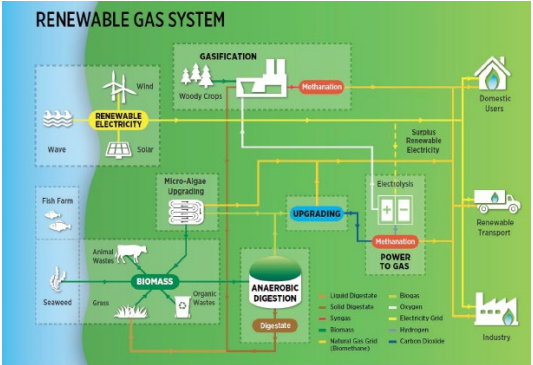 IEABioenergy's tweet photo. The main objective of #IEABioenergy #Task37 work programme is to address the challenges related to the
economic & environmental sustainability of #biogas production & utilisation. Read it all in the Triennium 2016-2018 Report ➡📊https://t.co/O1FPki9nol https://t.co/cZ8YxERgpp