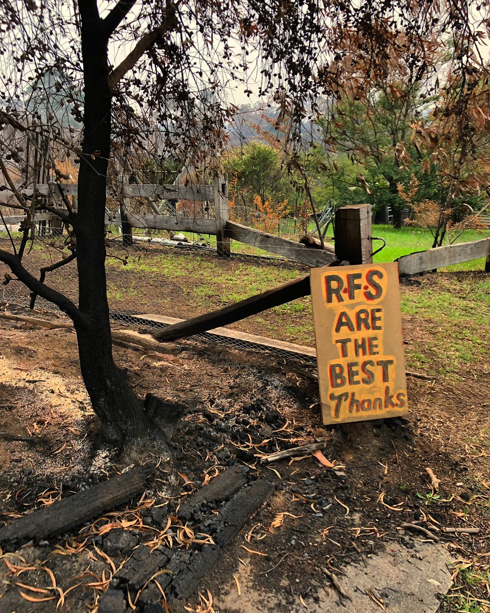 LaylaSaadat's tweet photo. Yesterday, on a work trip visiting some of the communities impacted by the recent bushfires. Devastating to see the damage that has been caused first hand, but definitely an eye-opening experience that allowed me to better understand the #bushfirecrisis https://t.co/sYdPAElc1z