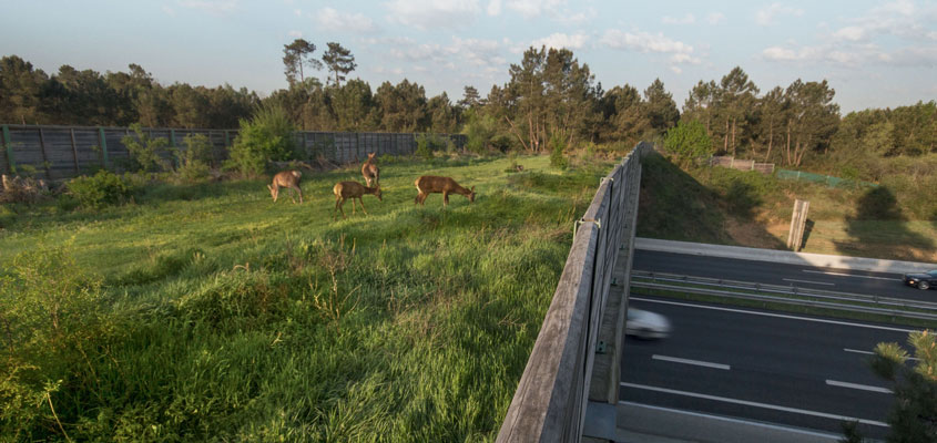 Nos engagements #environnement  :
-la réduction de 40 % des émissions de #CO2 d’ici 2030 
-la neutralité carbone à l'horizon 2050
-promouvoir l’économie circulaire et le respect des milieux naturels
 #RSE #TransitionEcologique #transitionzérocarbone
vinci.com/vinci.nsf/fr/c…