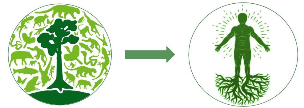 Biota_fr's tweet photo. Pourquoi une entreprise cultiverait-elle sa #biodiversité ?
Selon l’OMS, la santé est un état de complet bien-être physique, mental et social. Or la biodiversité impacte l’agriculture, le lien de chacun avec la nature et l’identité d’un territoire.
https://t.co/8spQjag3FR https://t.co/CDuOEW8MkJ