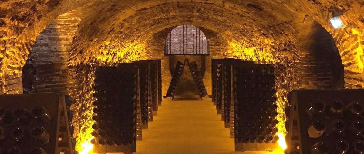 FCPWINES tweet media