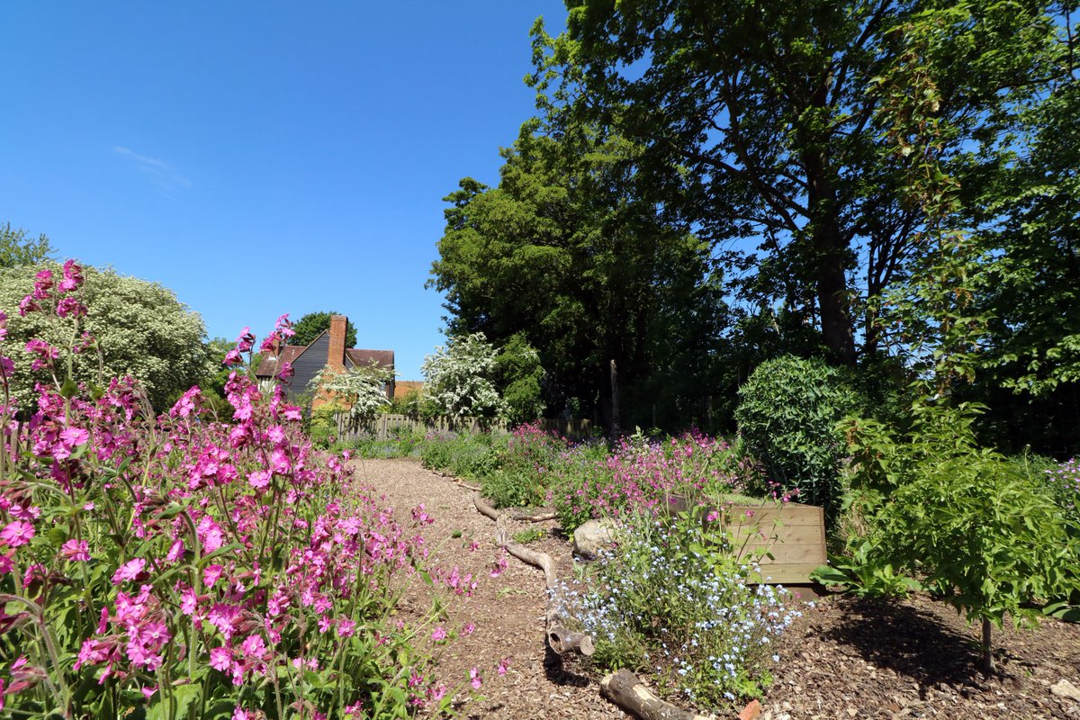 HMWTBadger's tweet photo. We're hiring! Join our team at Grebe House in #StAlbans as a Business Support Officer (H&S).
More info >> https://t.co/M5O1wTWJci
Please retweet & share!
#Workinconservation #EnvironmentJobs https://t.co/lpAndgXXea