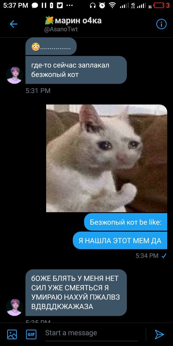 Если вы слышите мой смех, то вы его слышите 🗿