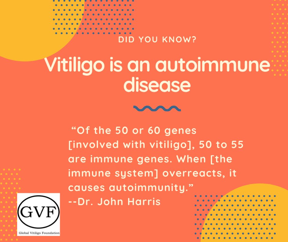 #DYK: #Vitiligo is an #autoimmune disease. <a href="/HarrisVitiligo/">John E. Harris, MD, PhD</a> says, “Of the 50-60 genes involved with vitiligo, 50-55 are immune genes. He says, “when the immune system overracts, it causes autoimmunity.”#globalvitiligofoundation #globalvitiligofoundationcommunity #vitiligopatient