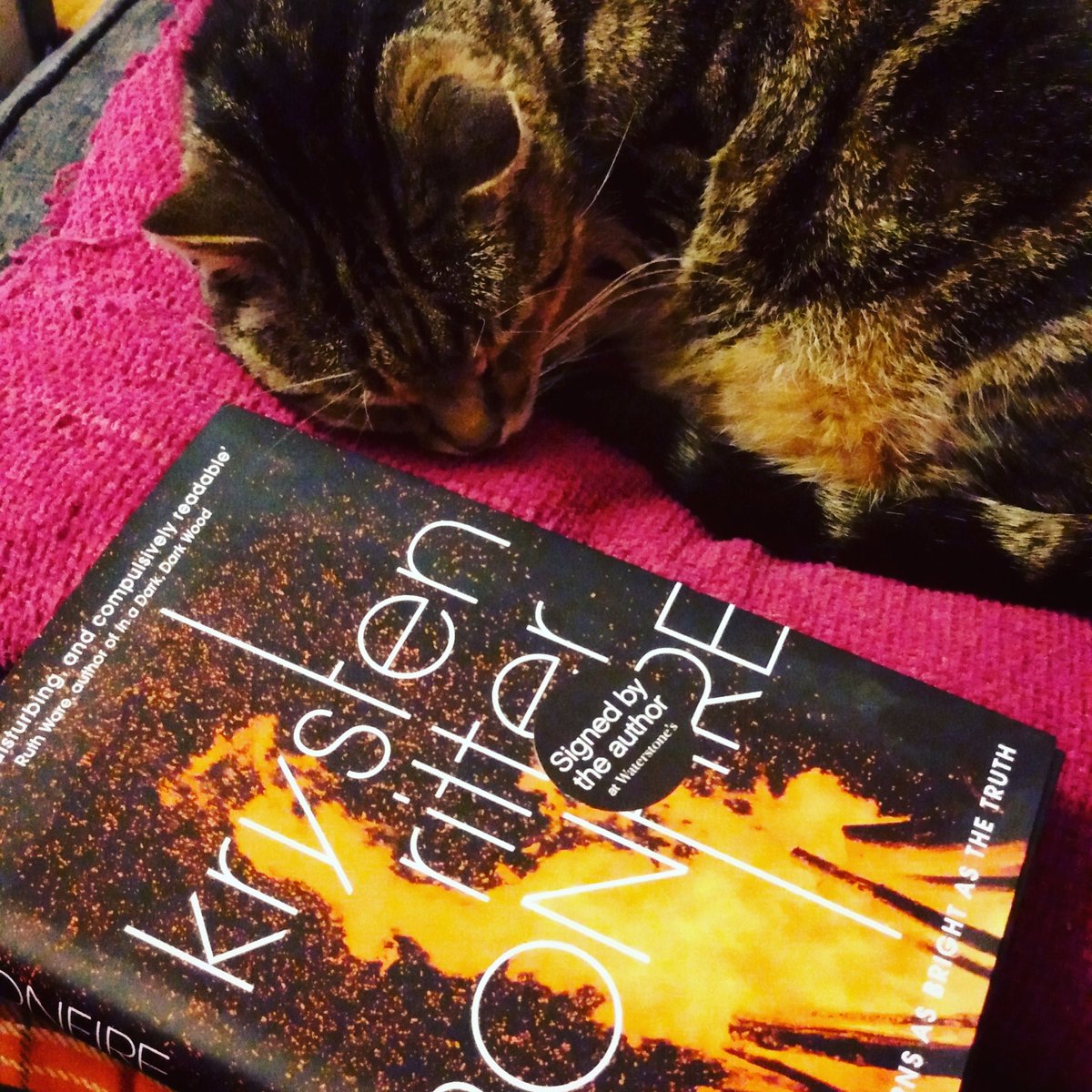 Nicers's tweet photo. My Thursday night.... a snoring Kane and finally making a start on my @Krystenritter book #GoodTimes #ContentKitty #BookCatchUp https://t.co/9SKjkLVK2S