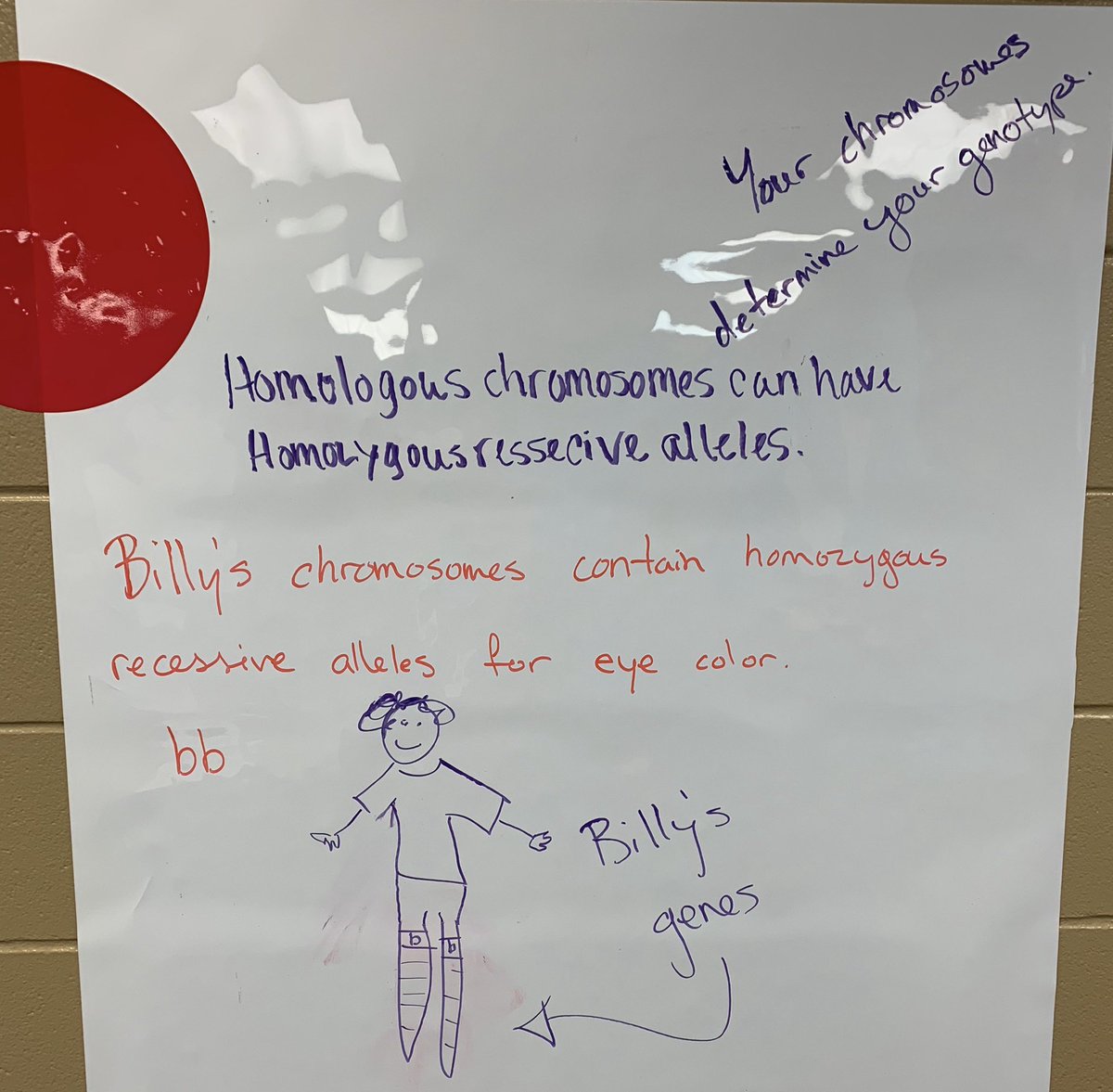 A simple vocabulary processing strategy that I created with @dknapp344. In “Vocab Collab”, students interact with vocabulary and make lasting connections between concepts! @oneclayschools