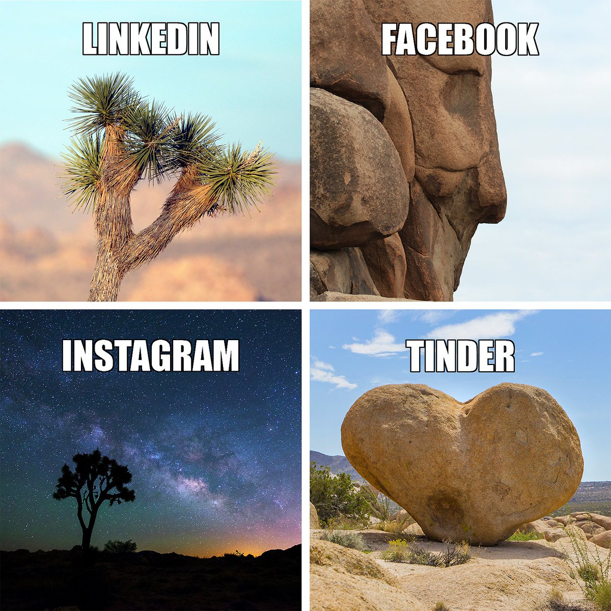 Image 1: A Joshua tree is set against a blue sky. The text reads "LinkedIn."
Image 2: A rock similar to the profile of a face. The text reads "Facebook."
Image 3: Starry skies with the silhouette of a Joshua tree. The text reads "Instagram."
Image 4: A rock shaped like a heart. The text reads "Tinder."

Photo 1: NPS / Brad Sutton
Photo 2: NPS / Robb Hannawacker
Photo 3: NPS / Lian Law
Photo 4: NPS / Brad Sutton