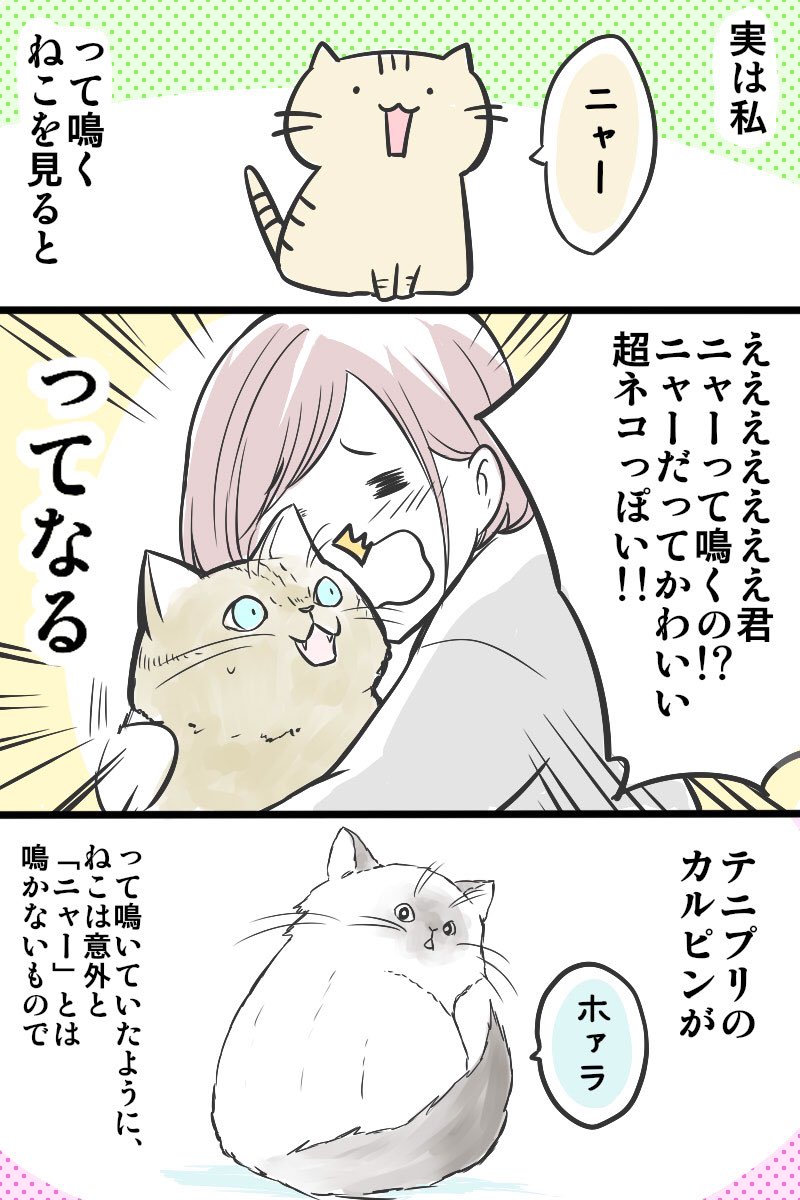 みなさんのにゃんこは何て鳴きますか?ってだけの漫画

#ショート漫画フェス 