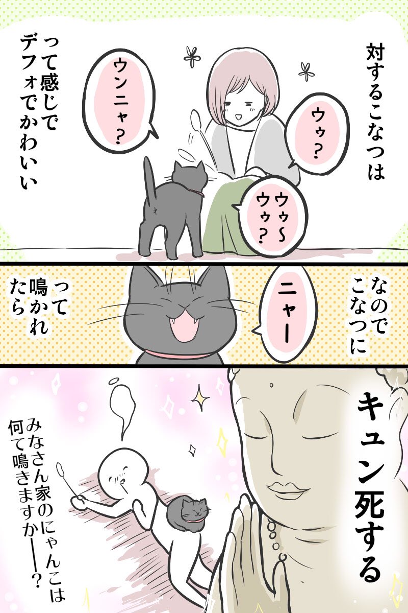 みなさんのにゃんこは何て鳴きますか?ってだけの漫画

#ショート漫画フェス 