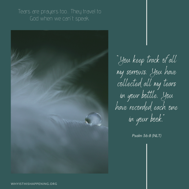 Does God Really Collect Our Tears in a Bottle? (Psalm 56:8)