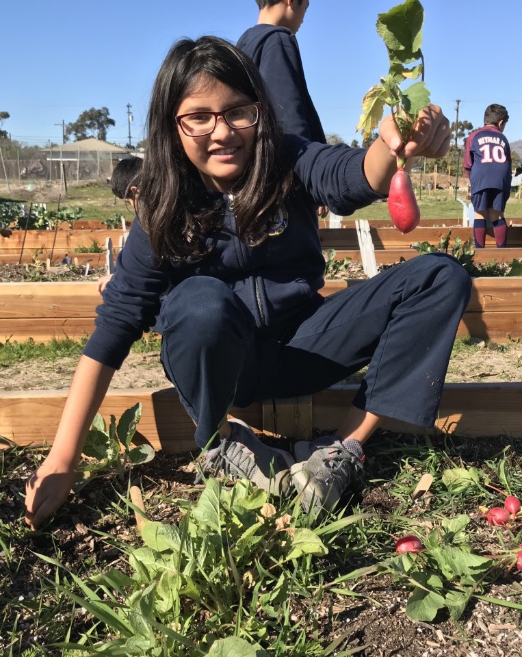 PacificUnionSDA's tweet photo. Linda Vista Adventist Elementary School in Oxnard, Calif., is connecting classroom learning to real life skills and problem solving—
Learn more: https://t.co/hoqgzHxS82

#AdventistEducation #LivingToLearn #JourneyToExcellence @AdventistEdu https://t.co/gr5xL5cTF6