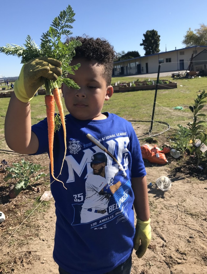 PacificUnionSDA's tweet photo. Linda Vista Adventist Elementary School in Oxnard, Calif., is connecting classroom learning to real life skills and problem solving—
Learn more: https://t.co/hoqgzHxS82

#AdventistEducation #LivingToLearn #JourneyToExcellence @AdventistEdu https://t.co/gr5xL5cTF6