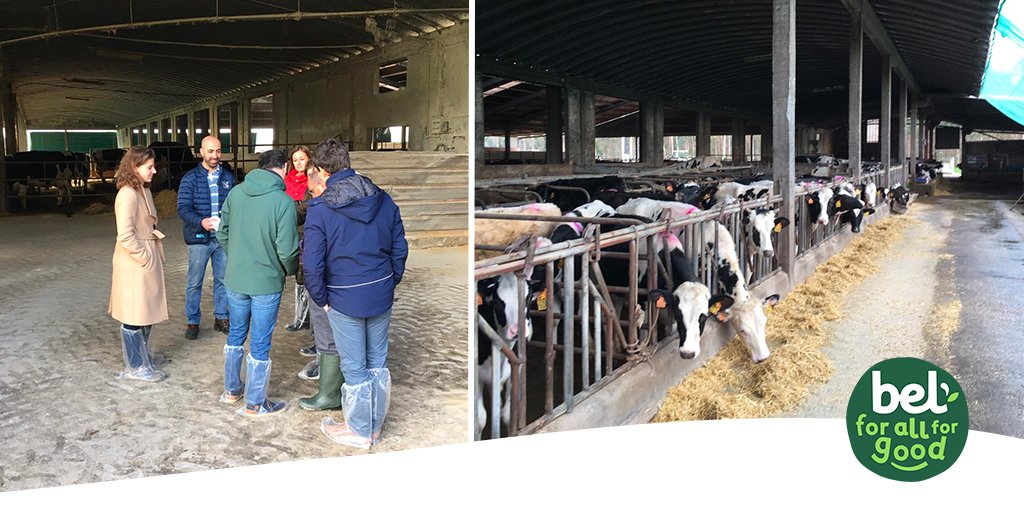 belcorporate's tweet photo. Committed to encouraging #sustainabledairy practices, we've partnered w/ the #CoolFarmAlliance to define the carbon impact of our partner farms &amp; co-build initiatives to improve it! Our first #carbonfootprint diagnosis has been conducted in the farms of our Portuguese producers👏 https://t.co/6KF71htWoE