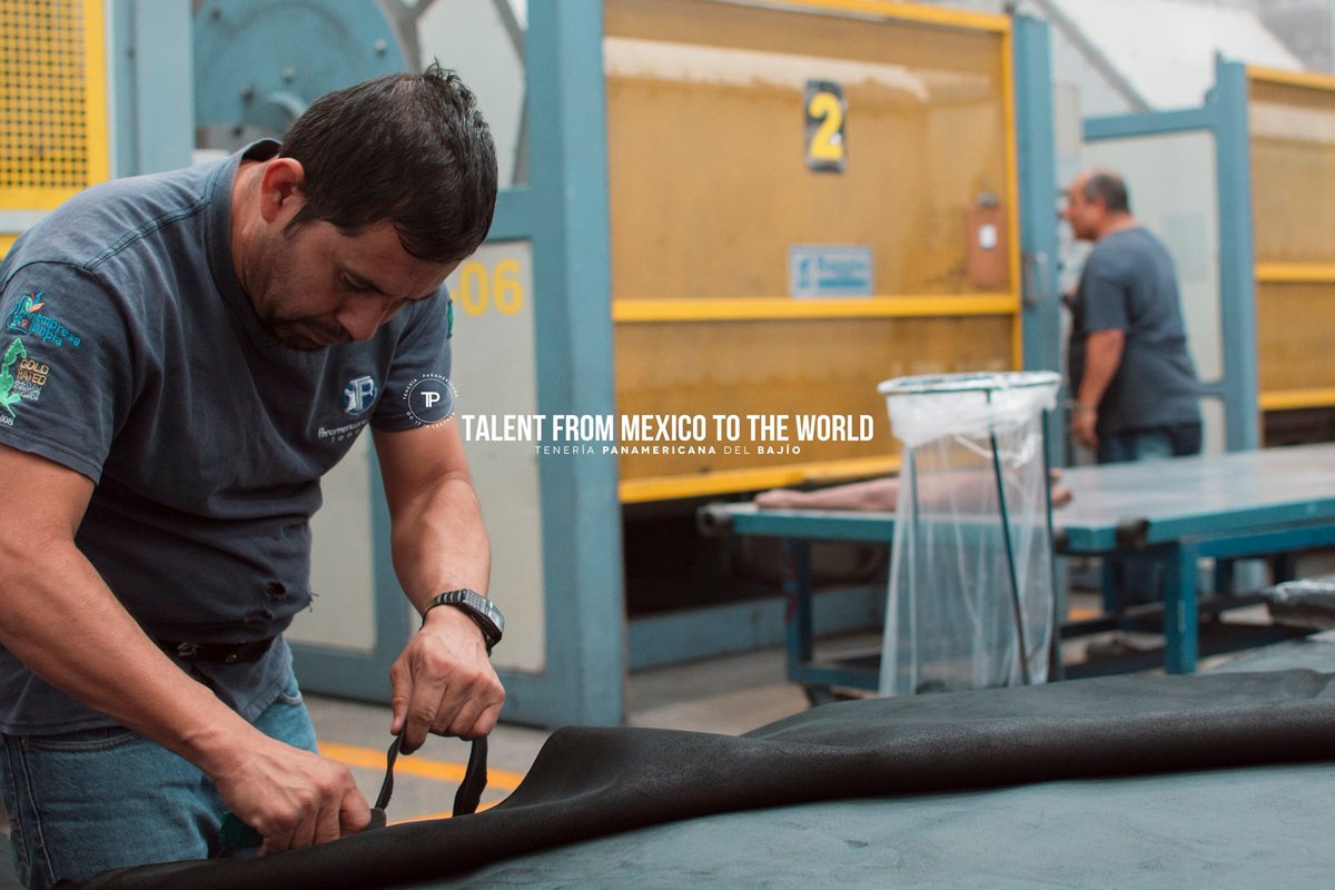 TePanamericana's tweet photo. #TALENTOPANAMERICANA 🌎 🇲🇽️
#TeneriaPanamericana #DoItInLeather #Tannery #Leather https://t.co/ESzij3XR3F