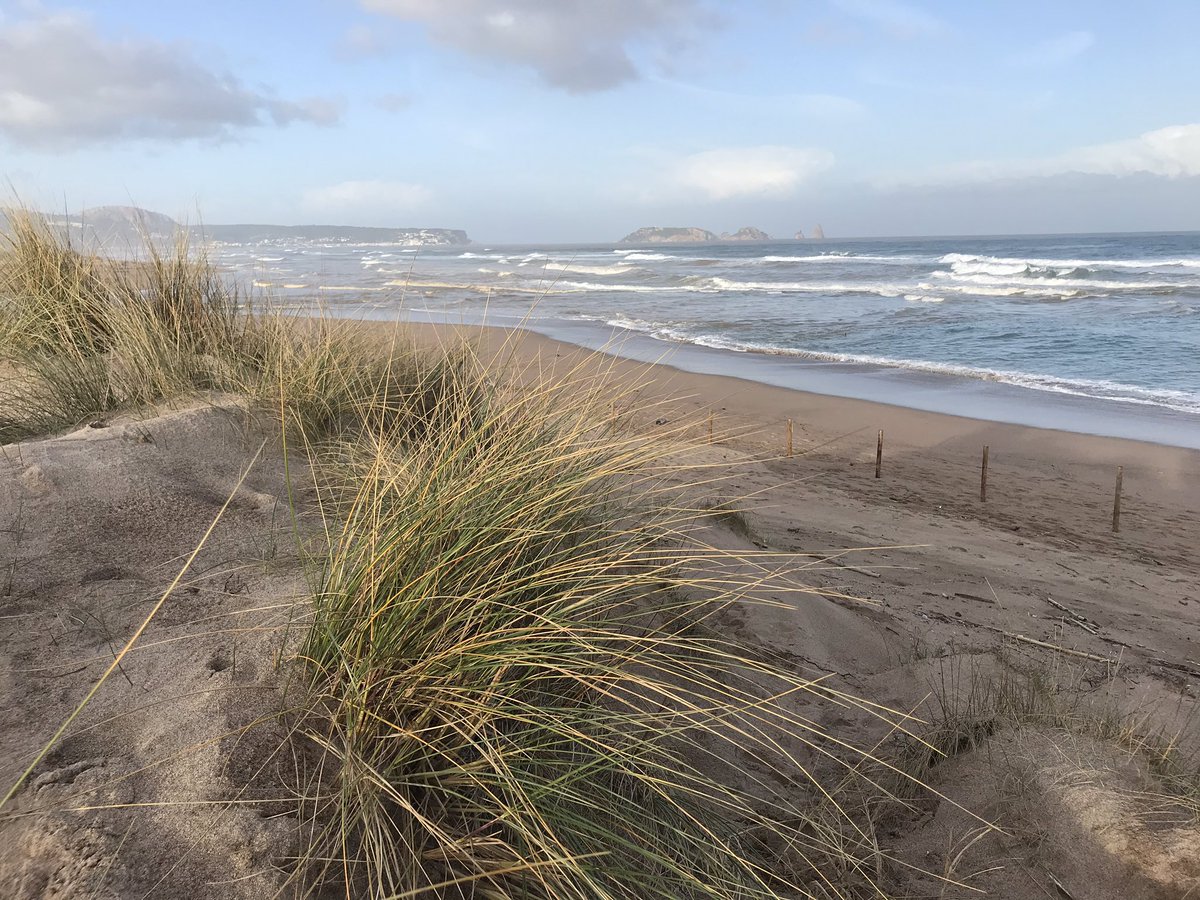 Els espais amb sistemes dunars ben estructurats i certa potència han resistit bé la tempesta #BaixEmpordà #Girona #geomorfologia cc/ <a href="/leobejarano/">Leo Bejarano</a> @emmaguinart <a href="/jauvic/">Jaume Vicens</a> @santipzs <a href="/OscarAnscari/">Òscar</a> <a href="/geocastaway/">GeoNáufragos</a>