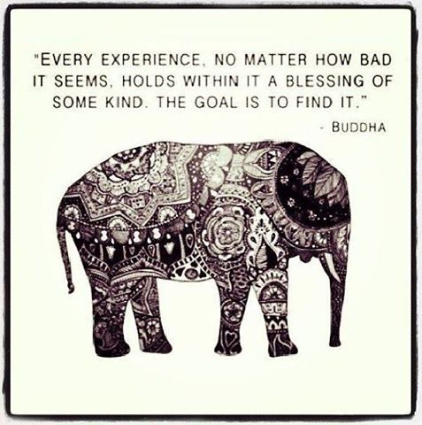 AltWaysToHeal's tweet photo. "Every Experience, No Matter How Bad It Seems, Holds Within It a Blessing of Some Kind. The Goal Is To Find  It". 
#Buddha 
FindYourPeace! 

Be Happy! 
Be Healthy! 
AltWaysToHeal https://t.co/OxMeJFihwO