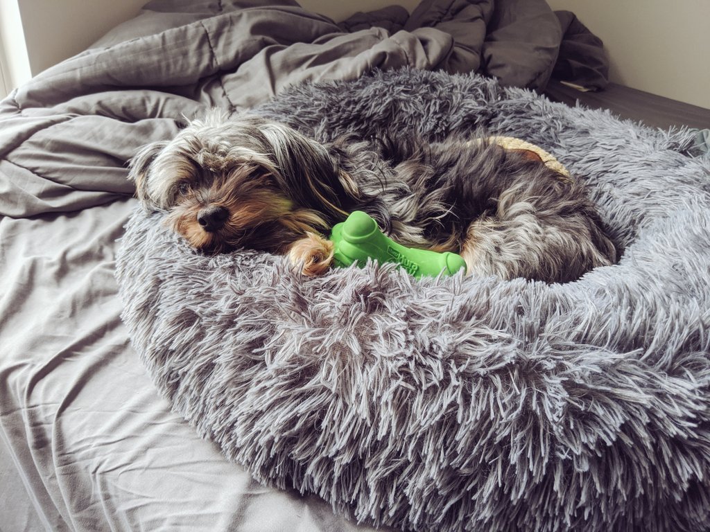 SPLMunch's tweet image. Cozy day 🙂