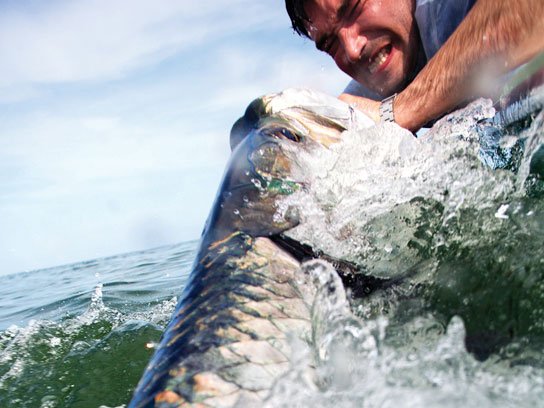 DexWash24's tweet photo. @CoachBellamy Don't worry, Coach! We are more than down to get our hands dirty to bring in the biggest fish in the sea! Bring him on home to IL! π§‘π #TrophyFish #BiggestCatch #Illini #LittyvILLe #IllGang21 https://t.co/RCSupryX2o