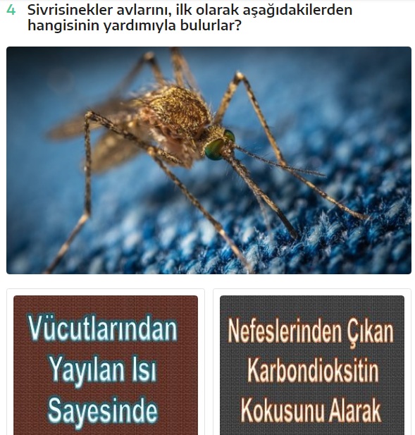 EEndedik's tweet photo. Kişilik Testleri &amp; Eğlenceli Testler İçin👉https://t.co/aPPbZ4LrEy
16 Milyon #GSvRİZ depremgibisiniz narsan #BabacanDiyorum Yarasa #benimkahramanım #BanaBirMasalAnlatFikret İrem Sak #YerliVeMilliHamleler Erce #KimeDiyorumKi Sekidika #coronovirus #EytCİMEReSoruyor KHKTV SeninSesin https://t.co/6bFOFn6Wsp