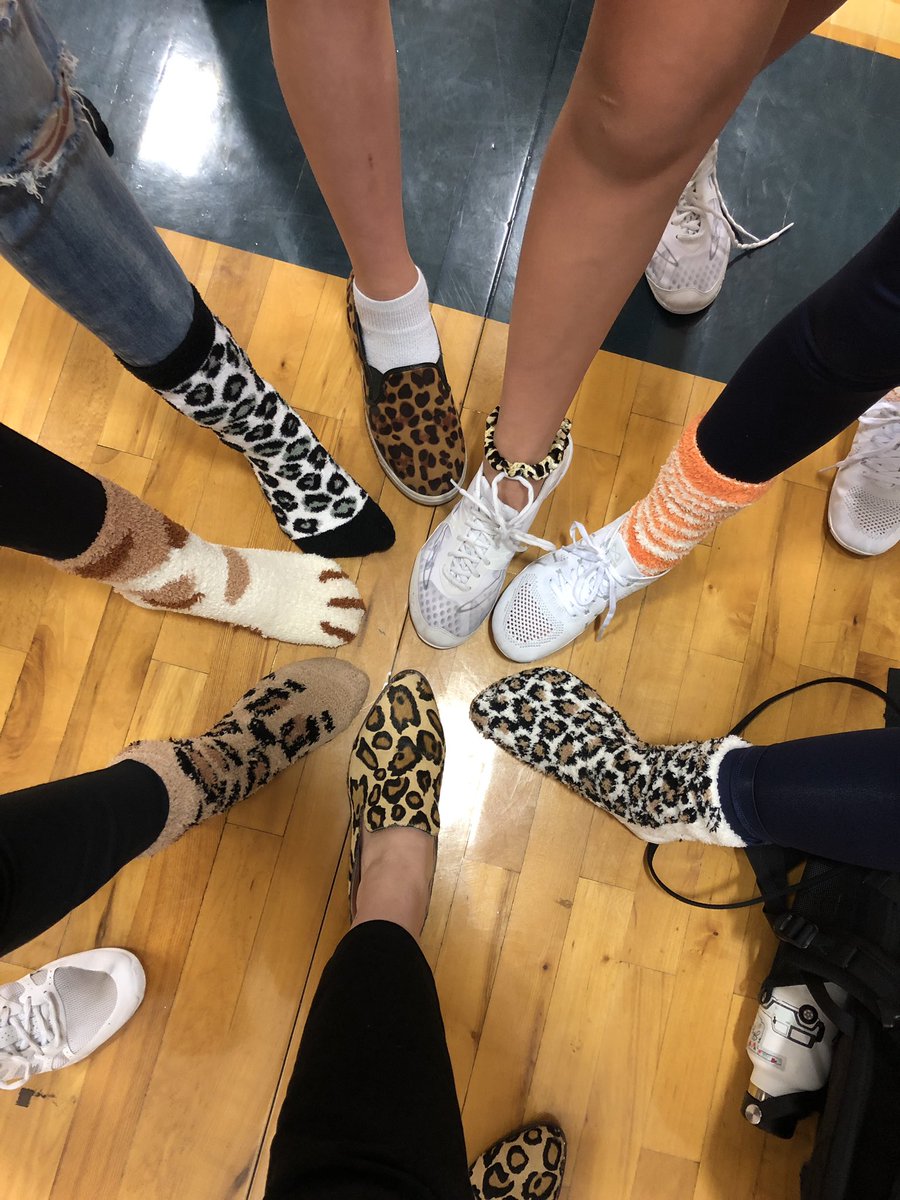 Ereckson_Cheer's tweet photo. We are WILD about College and Career Week!  @EMSCounselors #CollegeCareerWeek https://t.co/jyOfKg58ej