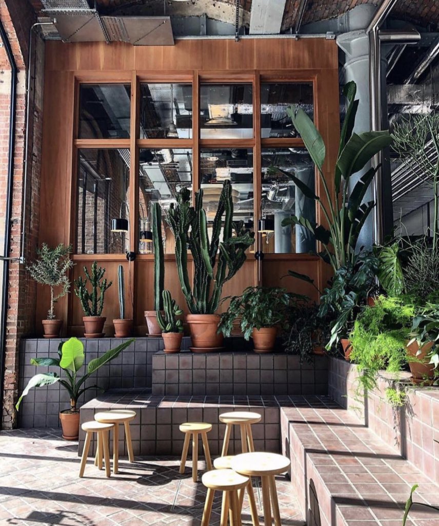 amagazineuk's tweet photo. Inside @cltrplx 🌿🌱🍃🌵

📸 @gabrielle__ball #amagazinemcr #manchester #bestofmcr  #manchesterplants https://t.co/OREAyz6bRv