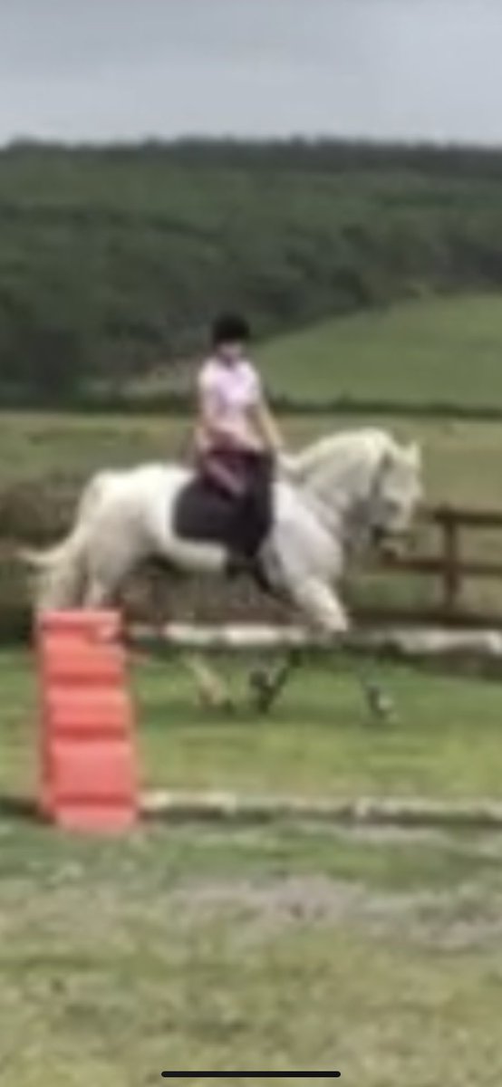 Isabel Kingston tweet media