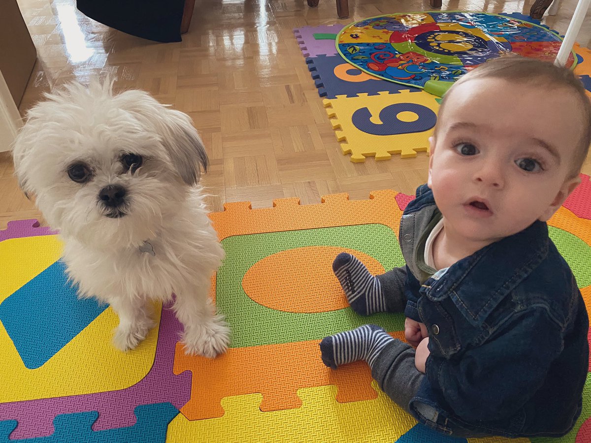 When you interrupt their conversation... #bestbuds #uptonogood