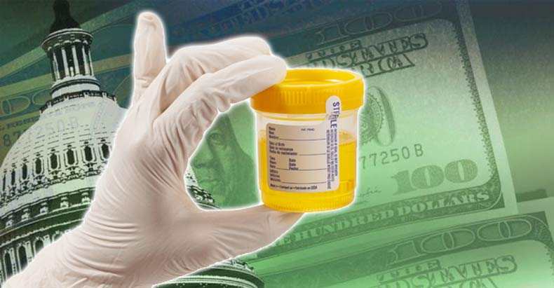 cleanfleetorg's tweet photo. What Does FMCSA Increase To 50% Random Drug Testing Rate Mean For Drivers, Fleets And The CDL Clearinghouse?

https://t.co/pOuskSzyzh

#trucking #logistics #drugtest #truckers #fmcsa #fleetmanagement #cdl https://t.co/sWbCszXlVq