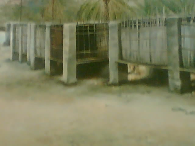 alshahi8's tweet image. وما نحن سوى عابرون  سنمضي يوما تاركين
خلفنا أفــراحنا أحــلامنا أوجــاعنا ذكرياتنا
وطيــــف يجول في طرقــــات قلــــوب أحبابنا
       ف "يارب نسألك حسن الخاتمه"