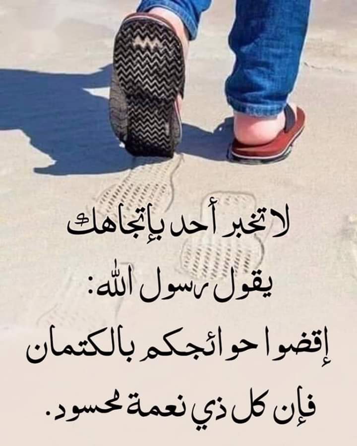 ابوثاير صعدة (@agak2hzf6ldythl) on Twitter photo 