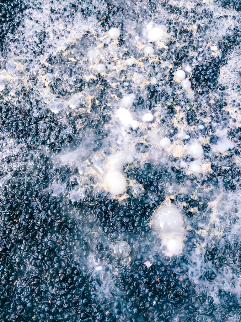 Behind the scenes with the winemaker—Artezin fruit goes into a bath of dry ice after running through the optical sorter, protecting it against oxidation. #TBT