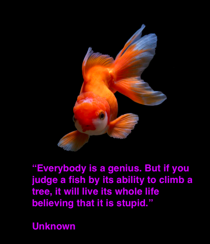 Chatham Reads believes in recognizing each child's gift and helping them where needed. Keep reading!