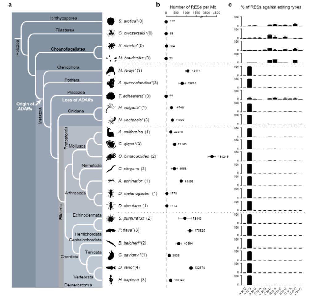 Elin Videvall tweet media