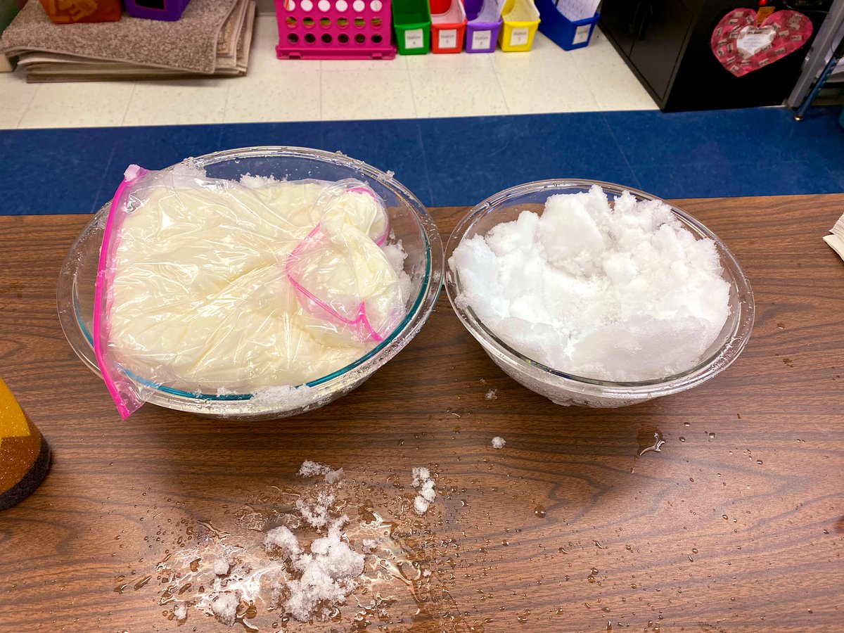 sdawson202's tweet photo. #RealDeals finding out how important blubber and adaptations  truly are to animals in the Arctic! 🥶 @abiehl77 @NSFairport @FCSDtweets #inquiry https://t.co/rQVMVvyiSW