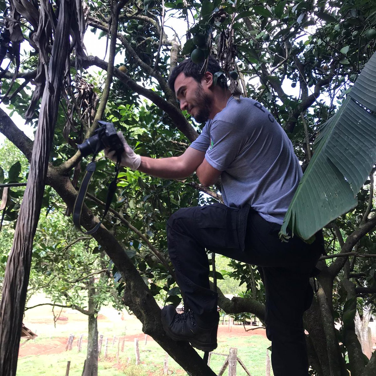IGP_SC_OFICIAL's tweet photo. A cena de um crime é cuidadosamente analisada pelo perito de plantão. Além de coletar vestígios biológicos que ajudam a entender a sequência dos fatos, os registros fotográficos são fundamentais para elaboração de um laudo. https://t.co/od4i1wpvKt