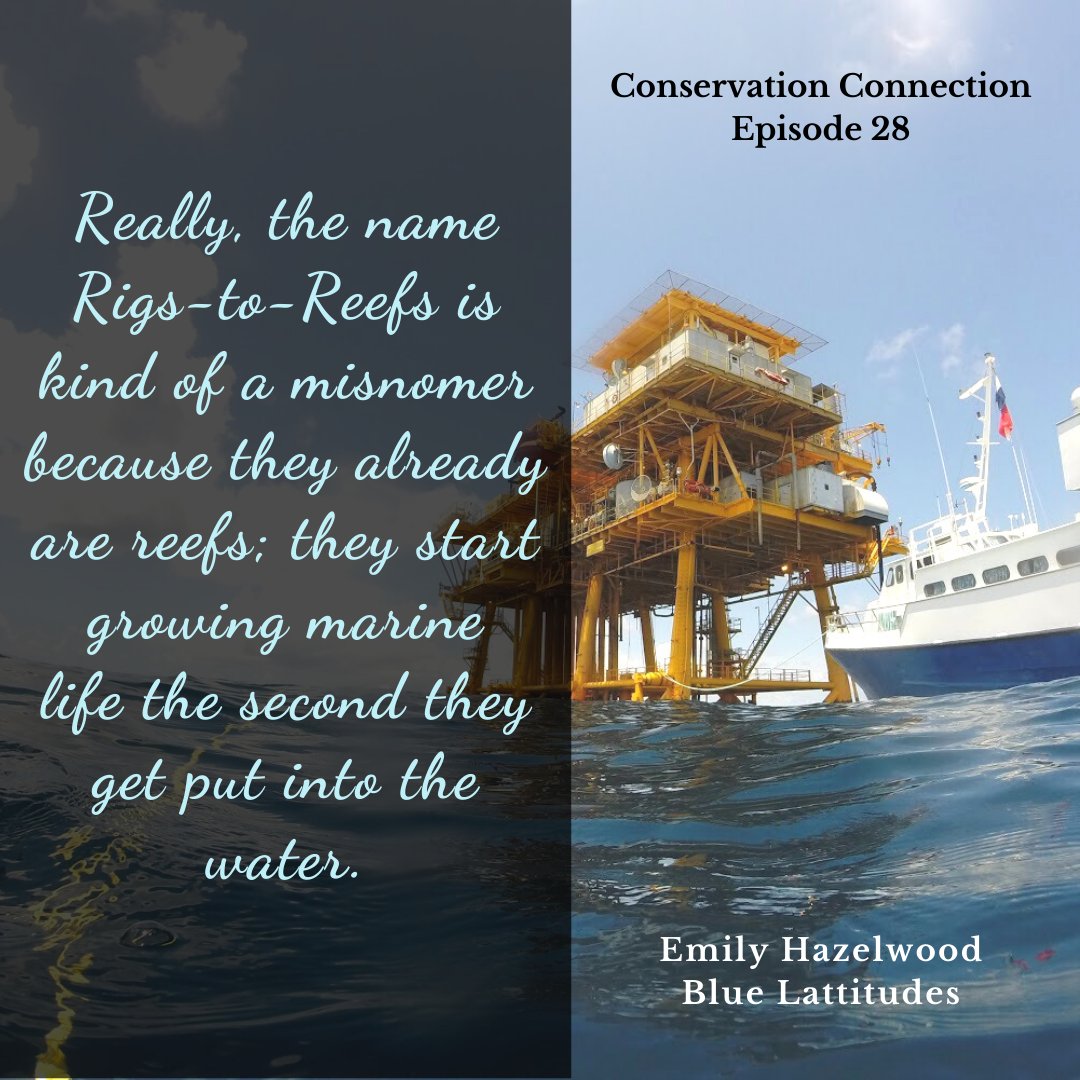 Rig2ReefExplore's tweet photo. Excited to share our recent #podcast with @lcendeavors! Recorded with @earthxorg - we share what it’s like diving on an oil rig and how we see a future for these structures to be re-purposed as reefs! #marineconservation #rigstoreefs 
https://t.co/NvxXJJ47p4 https://t.co/ZAMXBP7BAW