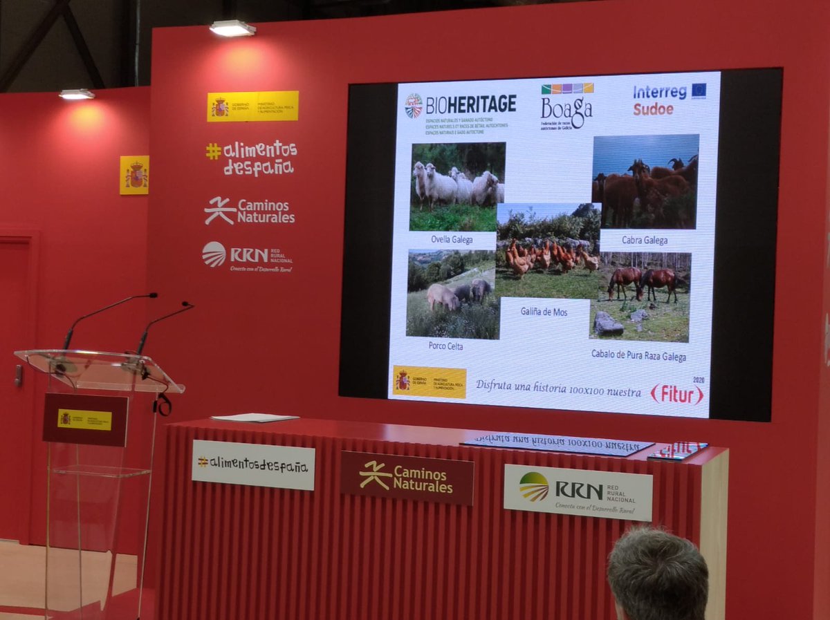 BioheritageS's tweet photo. 👏👏 Una gran oportunidad para promocionar el turismo agroalimentario y de naturaleza con razas autóctonas!!!
#100x100nuestro #interregsudoeprogramme #bioheritage Interreg Sudoe Programme https://t.co/P3kBpOzHqD