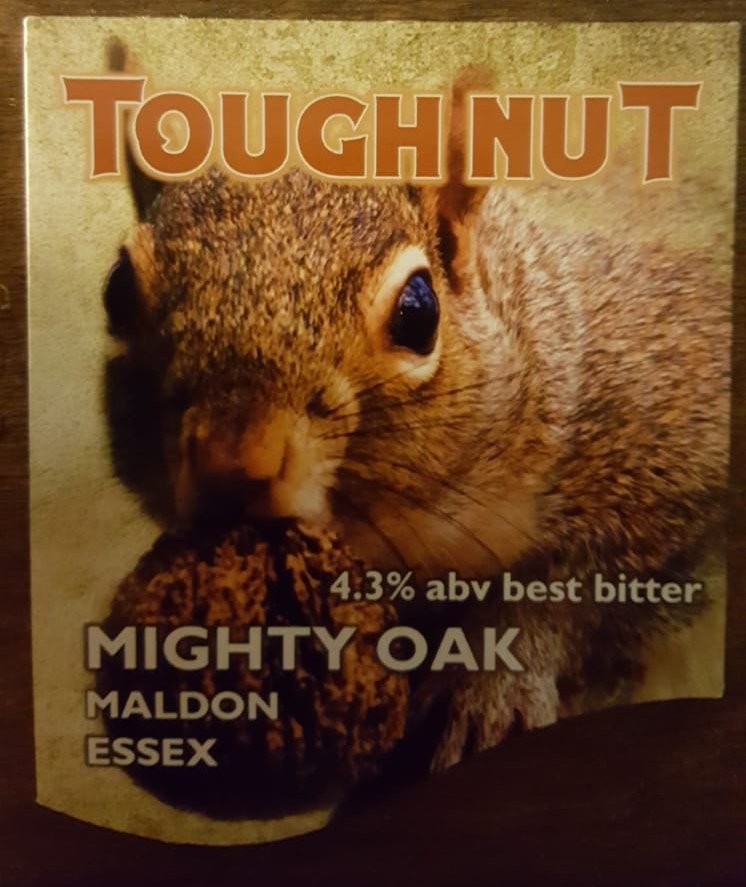 New beer on on this evening #mightyoak Tough Nut🥜4.3%. Best Bitter beer with lemon floral notes &amp; an earthy honey base. HOPS: Centennial Gol. Enjoy

#Margate #Broadstairs #Ramsgate #Thanet #Kentcoast #Kent #micropub #realale #bestbitter #realbeer #realalefinder