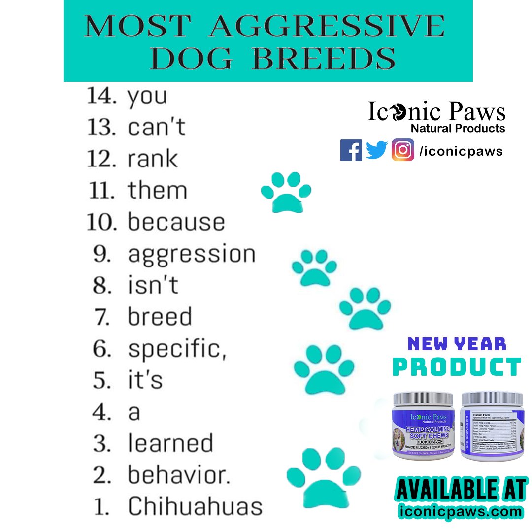 IconicPaws's tweet photo. 🔴 Follow @iconicpaws for more awesome dog posts and products. 
🔵 Make your doggy healthy and active all the time. 
✅ Visit 👉🏻 https://t.co/lRVOptX2Mh for healthy dog products ❤ 

#iconicpaws #dogfood #dogsfood #dogproducts dogproduct https://t.co/aMTppaePqM