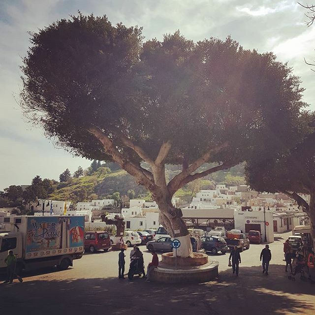LindianCollect's tweet photo. The warmest of welcomes 🌳
☀️
☀️
#TheLindianCollection #Lindos #lindosgreece #travel #traveltheworld #holidays #summer2020 #greece #summerinlindos #greecelover #rhodes #iloverhodes #islandlife #discovergreece #visitgreece #greecestagram #greecelover … https://t.co/7BUHMUQnUU https://t.co/zvgJTvQVzm