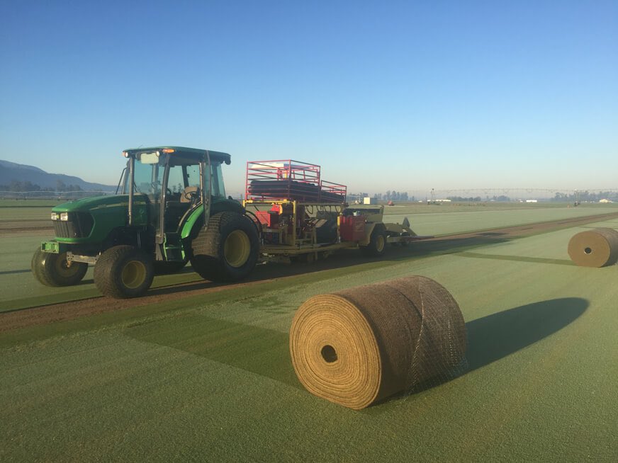 Bossodfarms's tweet photo. The following Bentgrass sod varieties are available for Spring 2020: T1, Pure Distinction, 007/Tyee and Penncross. https://t.co/j8jEHNdYl4