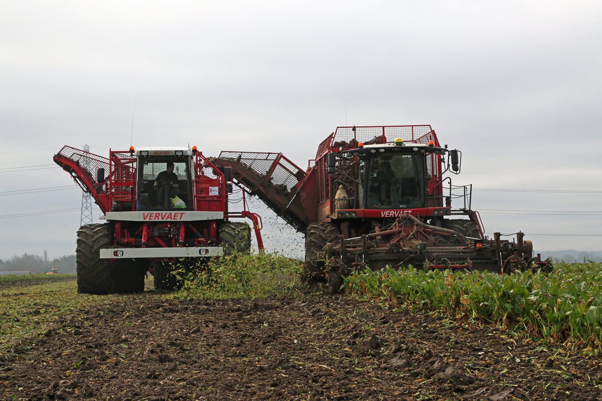 JRileyBeet's tweet photo. A new @FransVervaetBV chaser recently supplied by @JRileyBeet to Notts contractors J.P. Plowright &amp; Son seen at work yesterday. For more info on Vervaet chasers please contact Nathan Carter on 07825 631377. https://t.co/IC3BgpSwy0