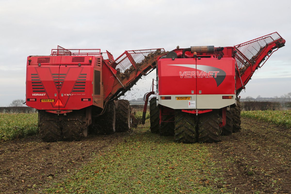 A new <a href="/FransVervaetBV/">Vervaet</a> chaser recently supplied by <a href="/JRileyBeet/">J Riley Beet Harvesters (UK) Ltd</a> to Notts contractors J.P. Plowright &amp; Son seen at work yesterday. For more info on Vervaet chasers please contact Nathan Carter on 07825 631377.