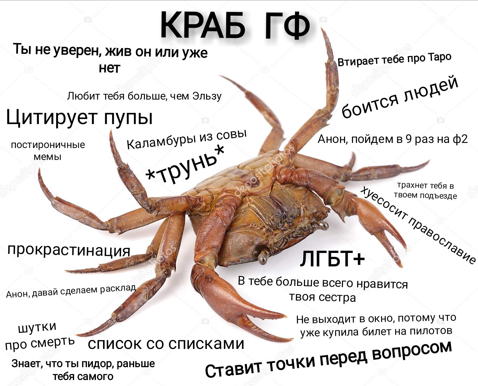 Краб смешно