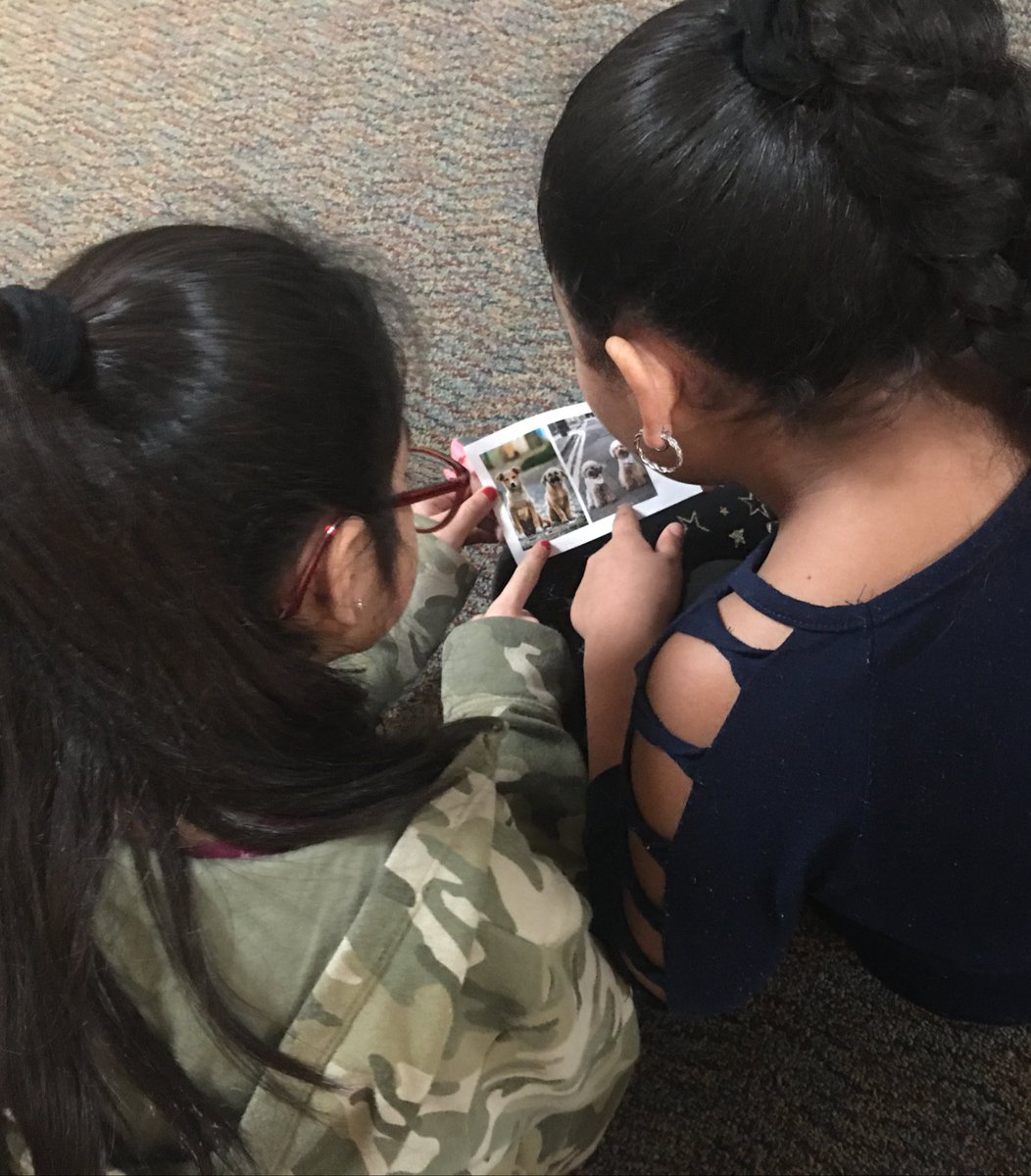 SaraAlvarado414's tweet photo. Used @saravdwerf Stand &amp; Talks with some 3rd graders to introduce them to @LooneyMath #SameButDifferentMath they were so hooked! It’s a wonderful thing when Ss find empowerment in math. ❤️ https://t.co/Bxkfn4ustm