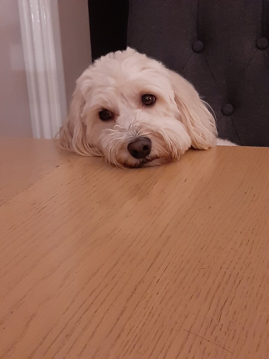 tracy (@tracy_mcewan93) on Twitter photo Day 1 of 7, no people and no explanation Nominated by <a href="/helenskinner99/">Helen Skinner</a> I nominate <a href="/ShonaOliphant/">Shona Oliphant</a> Day 1 of 7, no people and no explanation Nominated by <a href="/helenskinner99/">Helen Skinner</a> I nominate <a href="/ShonaOliphant/">Shona Oliphant</a>