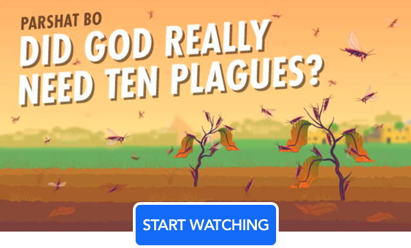 Did an all-powerful God really need ten plagues to free His nation? Couldn't He simply airlift the people out of Egypt on a magic carpet? Rabbi Fohrman suggests that when it came to the plagues, perhaps God had a very specific agenda in mind. Watch here: bit.ly/2upAL32