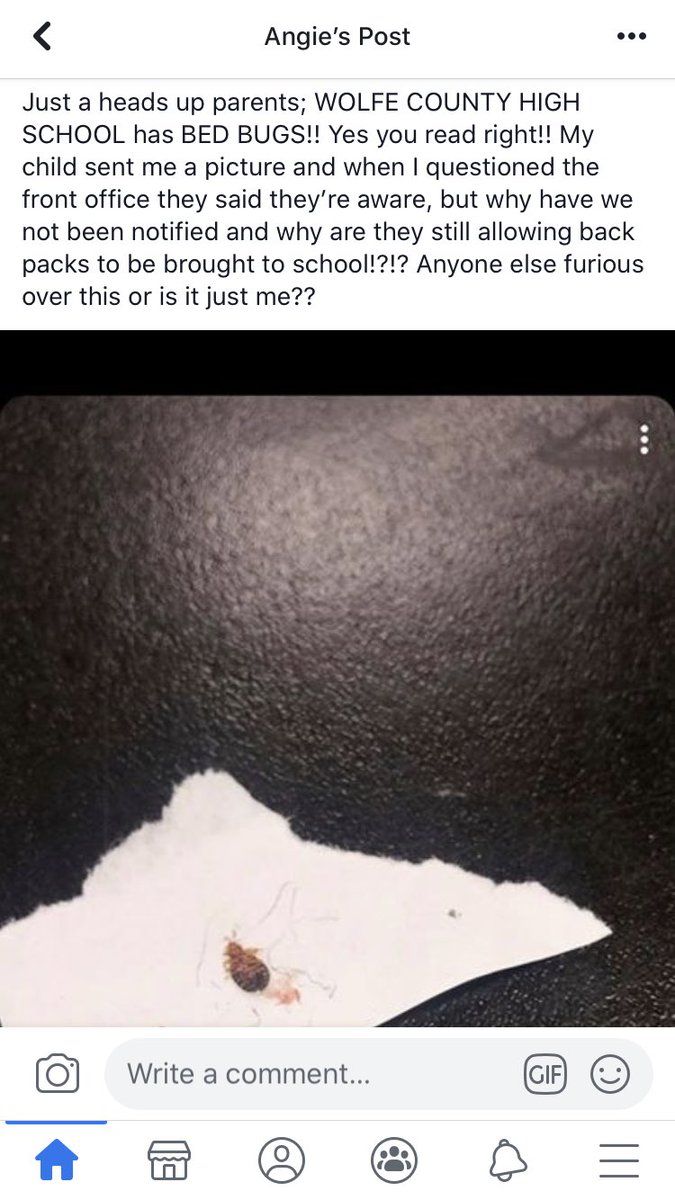 NotBarstoolPerryCentral tweet media