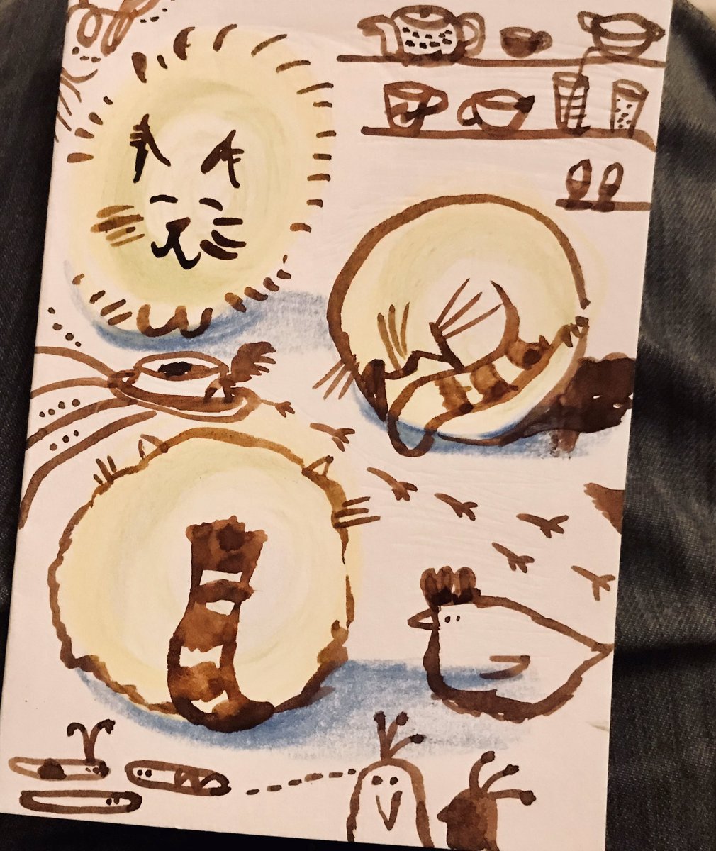 Jo Bradshaw tweet media